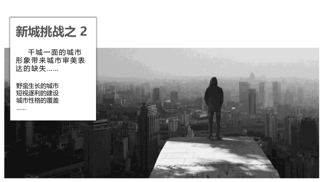 麓湖生态城10年发展历程发展战略及营销观