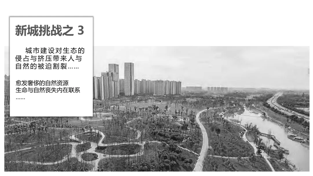 麓湖生态城10年发展历程发展战略及营销观