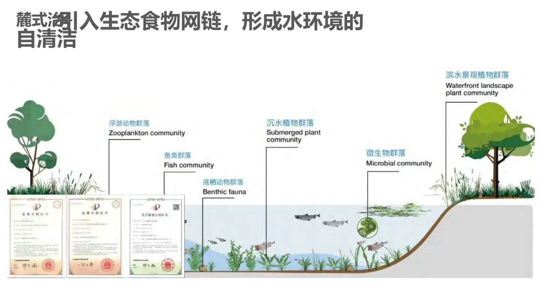麓湖生态城10年发展历程发展战略及营销观