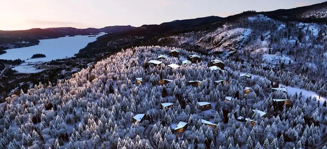 【蒙特利尔Q1房市】市场依然活跃,公寓市场略有好转,价格小涨