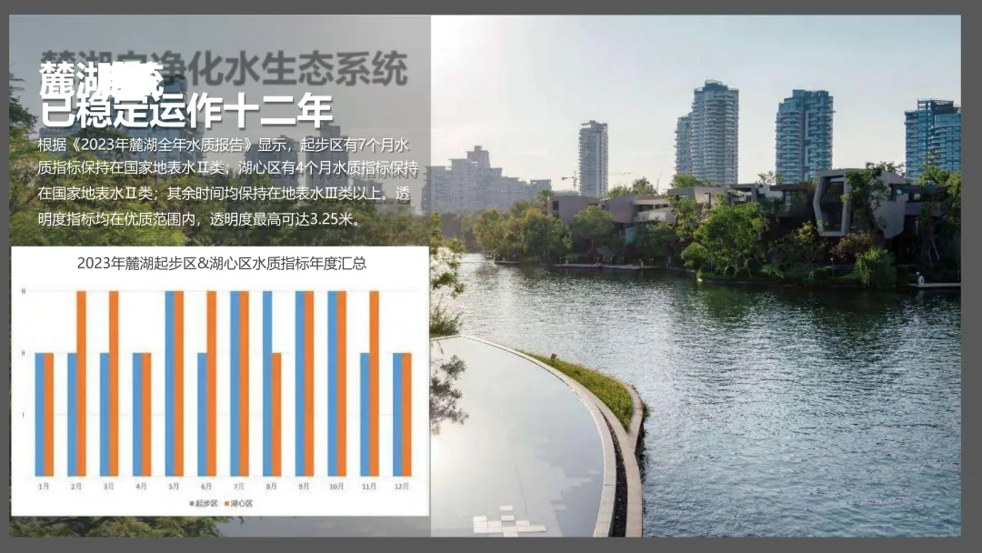 麓湖生态城10年发展历程发展战略及营销观