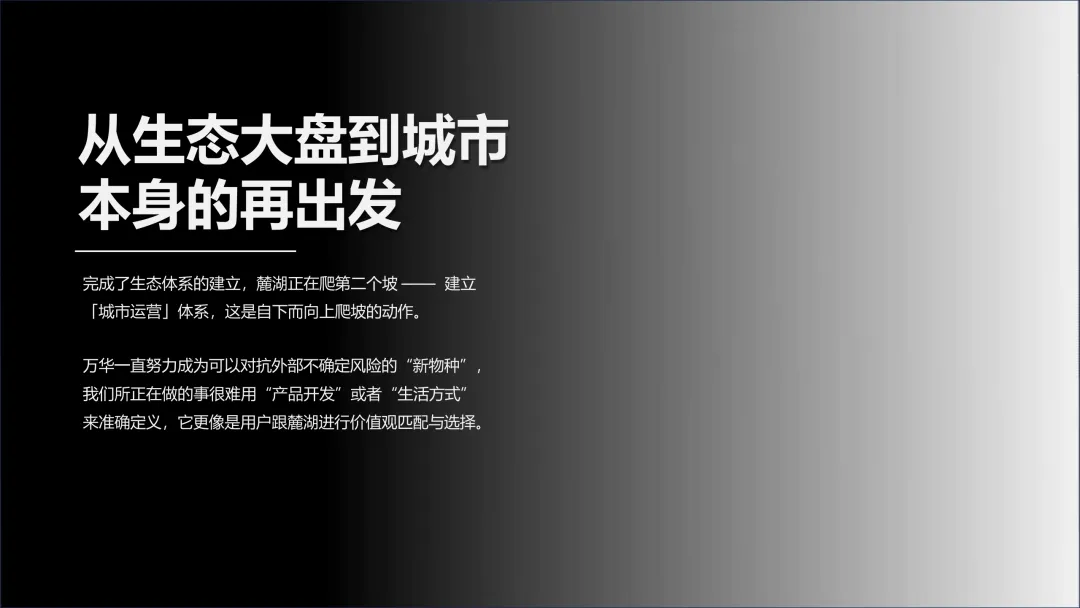 麓湖生态城10年发展历程发展战略及营销观