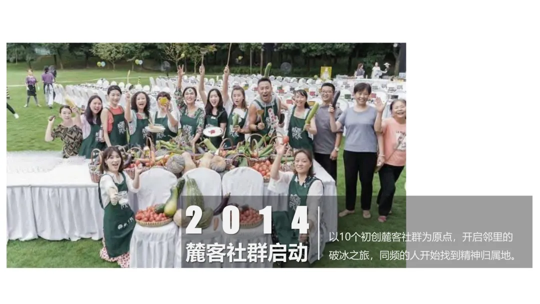 麓湖生态城10年发展历程发展战略及营销观