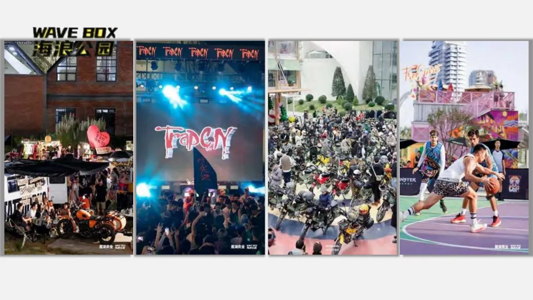 麓湖生态城10年发展历程发展战略及营销观