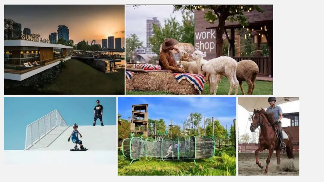 麓湖生态城10年发展历程发展战略及营销观