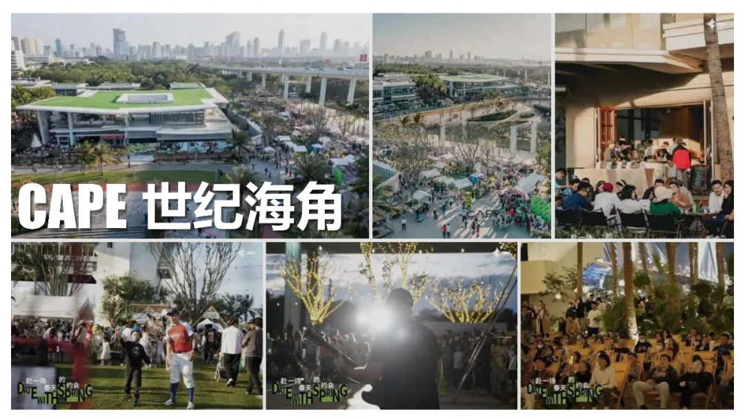 麓湖生态城10年发展历程发展战略及营销观