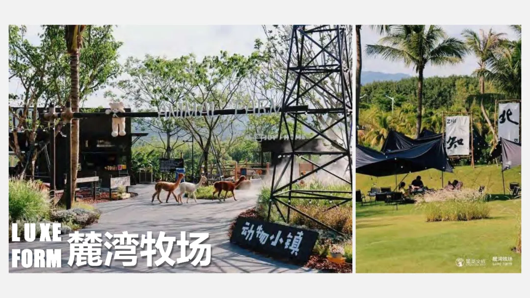 麓湖生态城10年发展历程发展战略及营销观