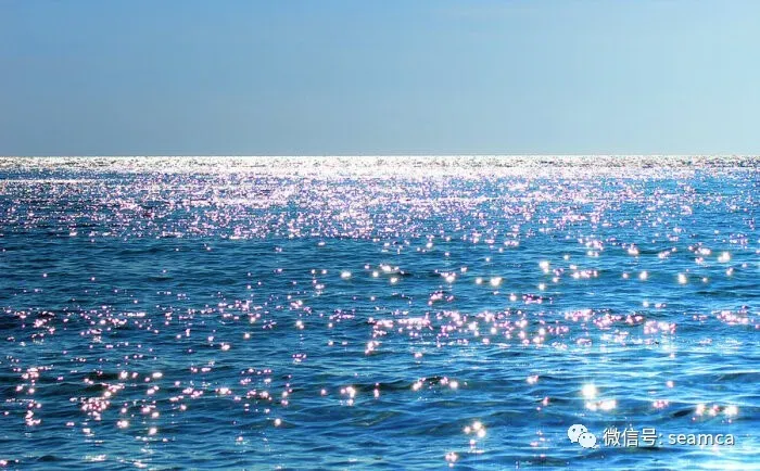 海友汇人物介绍:营销专家—宁延杰