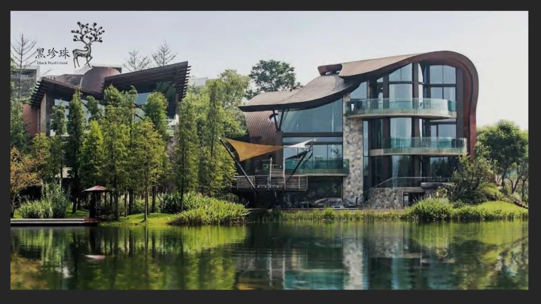 麓湖生态城10年发展历程发展战略及营销观