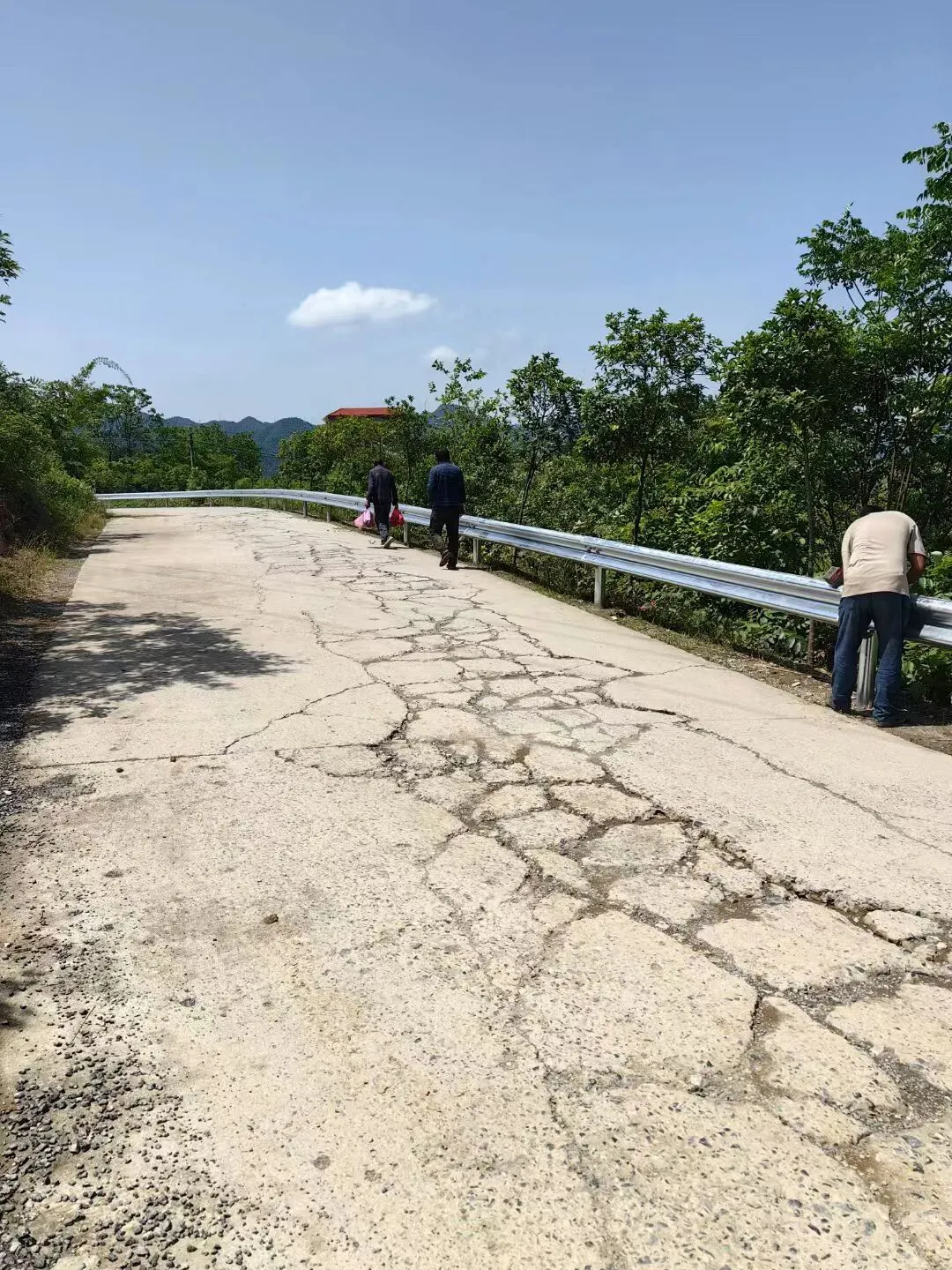 波形护栏详细规格、材质、适用路段及市场报价大全