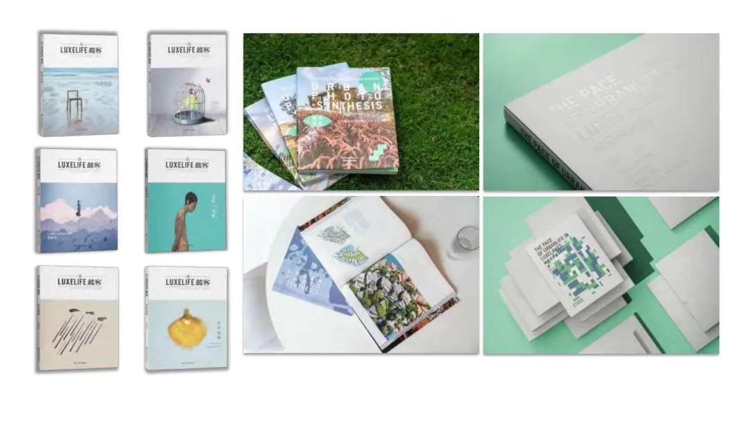 麓湖生态城10年发展历程发展战略及营销观