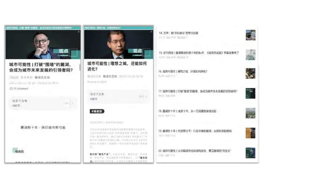 麓湖生态城10年发展历程发展战略及营销观