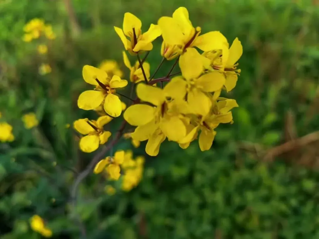 当所有市场都在新高时,你应该做什么