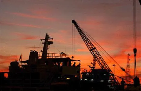 市场动态|6月15日农资市场行情