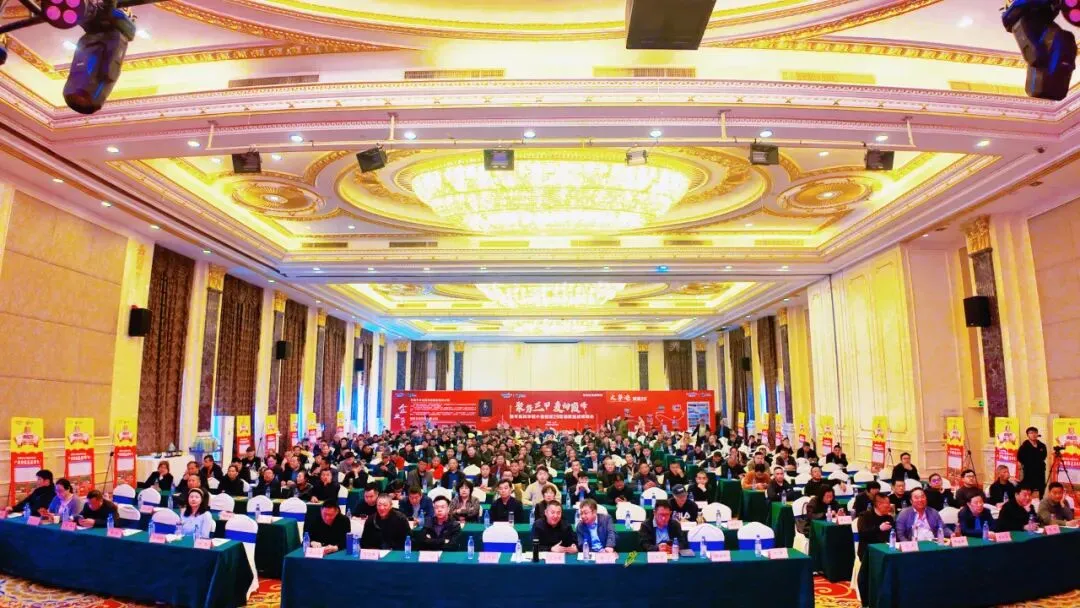 聚势三甲·麦向巅峰 镇麦29营销赋能战略峰会