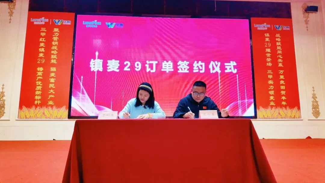 聚势三甲·麦向巅峰 镇麦29营销赋能战略峰会