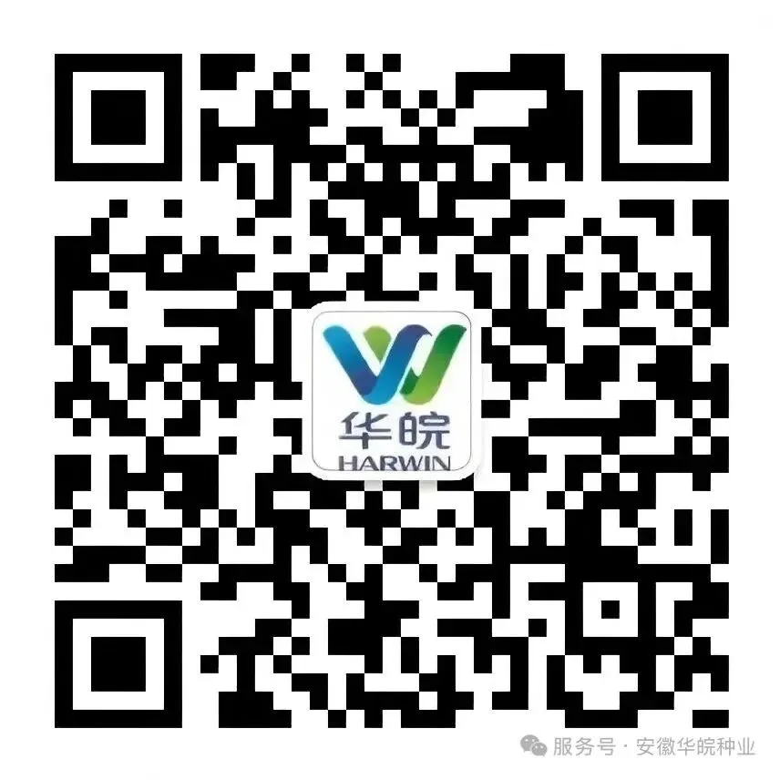 聚势三甲·麦向巅峰 镇麦29营销赋能战略峰会