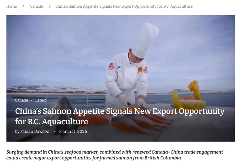 哥本哈根大学:中国海产市场迎来“刺身热”,加拿大三文鱼应“抓紧良机”抢占!
