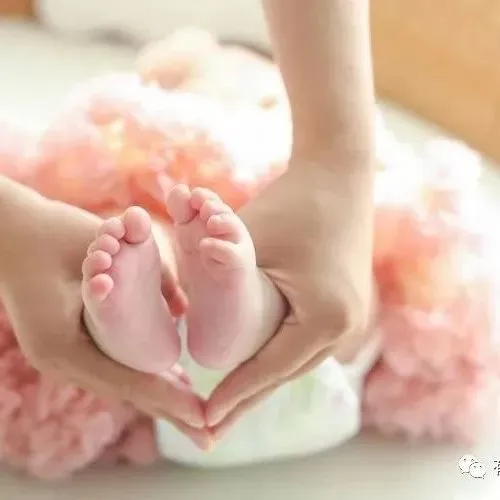 2026年1-2月山东省汽车市场分析报告{附下载}