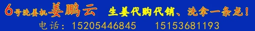 04月17日昌邑各市场生姜价格参考