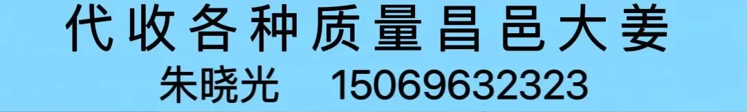 04月17日昌邑各市场生姜价格参考