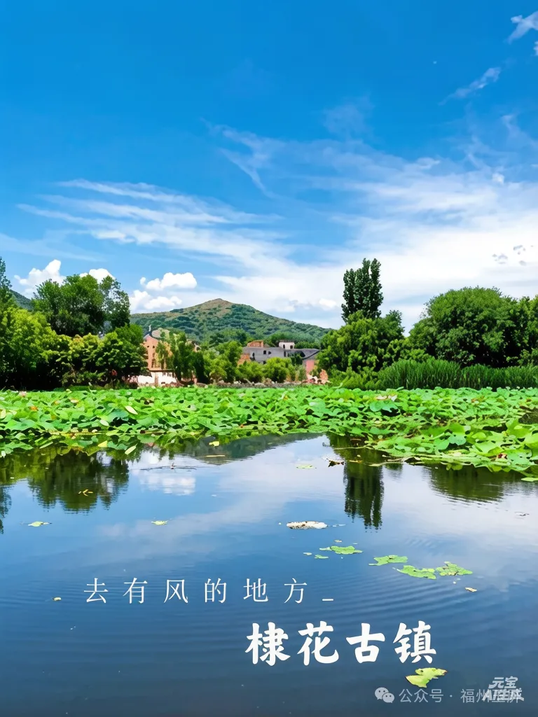 【市场首创.玉屏自组||秦岭陕南】陕西蓝田·水陆庵·猿人遗址·宝鸡·秦岭之巅5A太白山·陈仓老街·关山草原· 汉中紫柏山等大环游纯玩双卧10日