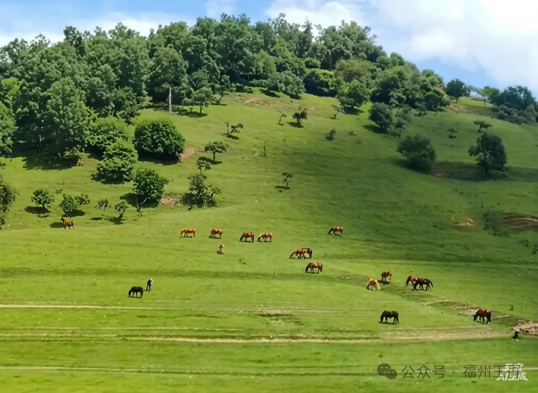 【市场首创.玉屏自组||秦岭陕南】陕西蓝田·水陆庵·猿人遗址·宝鸡·秦岭之巅5A太白山·陈仓老街·关山草原· 汉中紫柏山等大环游纯玩双卧10日