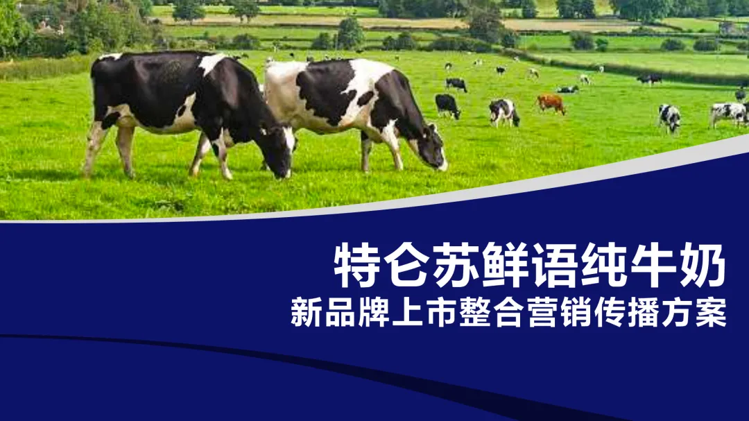 【345页】特仑苏整合营销全案