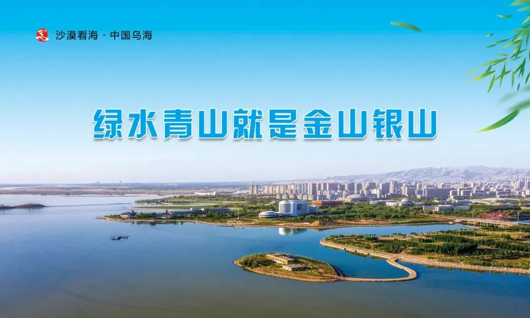 乌海市市场监管局公布网络餐饮食品安全典型案例(第一期)