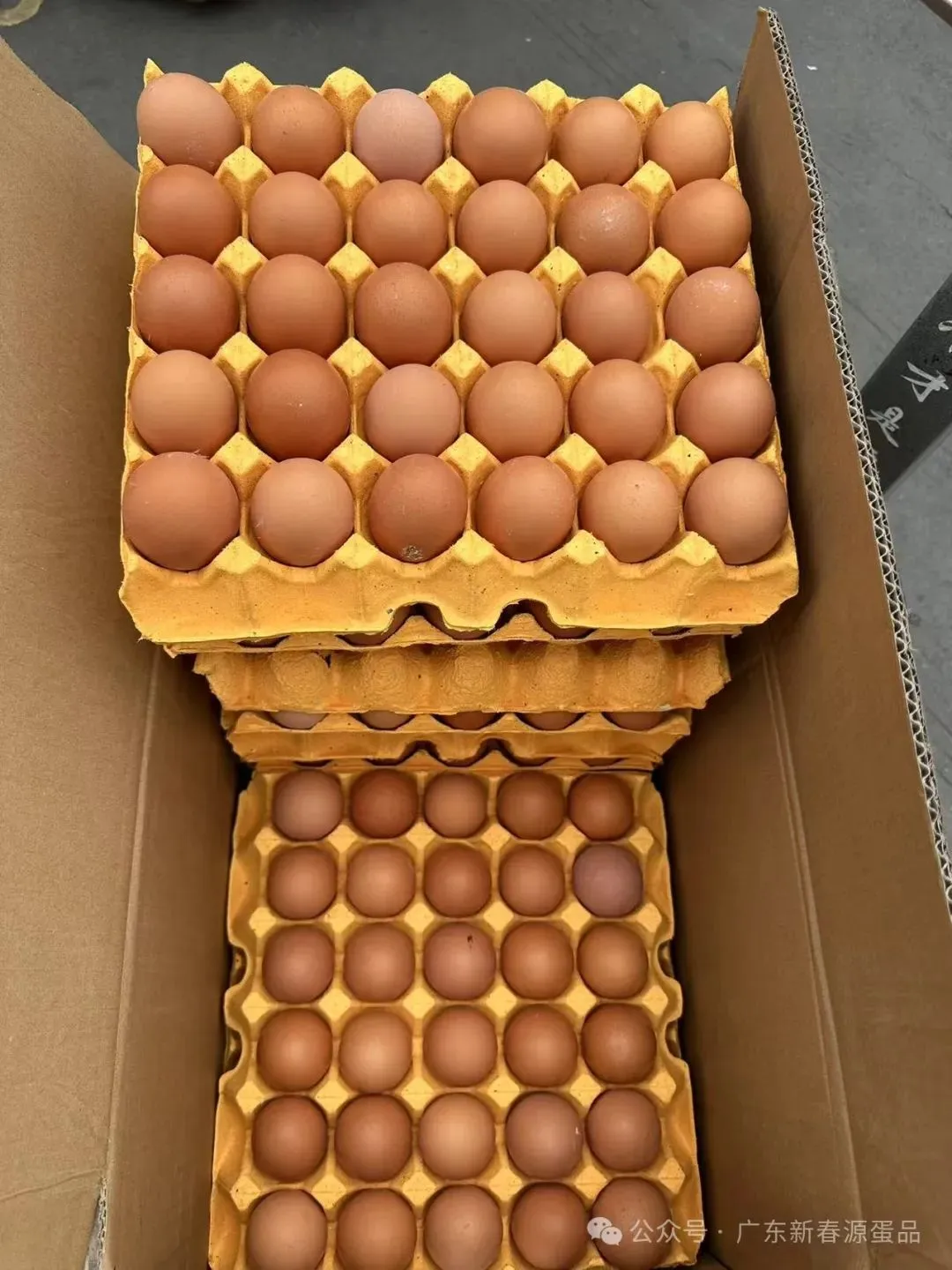 2026年4月17日 东莞信立市场鸡蛋价格参考