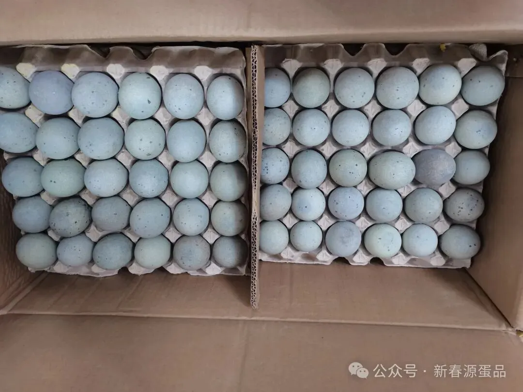 2026年4月17日 东莞信立市场鸡蛋价格参考