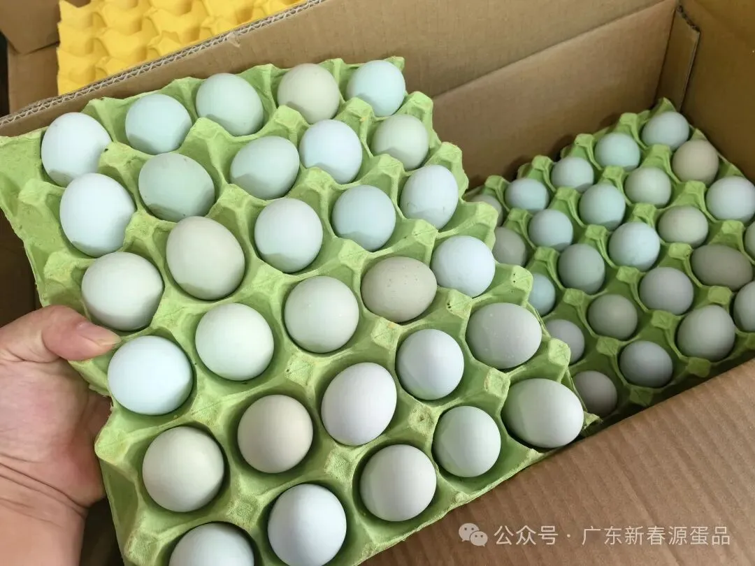 2026年4月17日 东莞信立市场鸡蛋价格参考