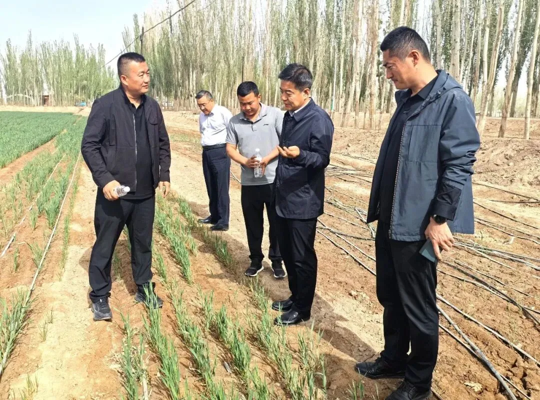深耕南疆市场 夯实种业根基——昌粮集团赴喀什地区考察调研
