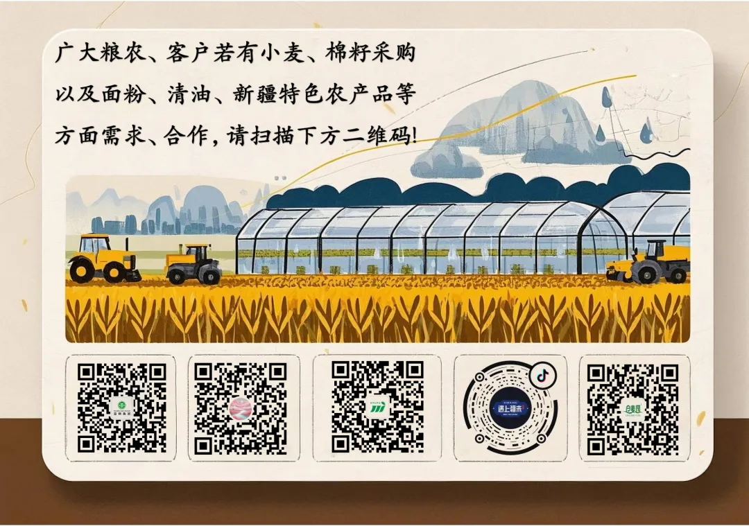 深耕南疆市场 夯实种业根基——昌粮集团赴喀什地区考察调研