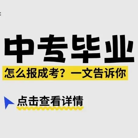 成考硬核专业:计算机科学与技术深度解析!转行 IT 的捷径,还是智商税?