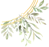 今日美妆市场现货报价表(4月17日)