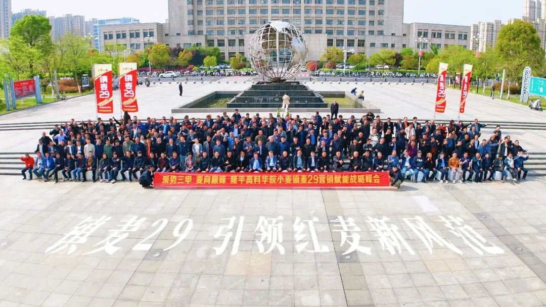 聚势三甲·麦向巅峰 镇麦29营销赋能战略峰会