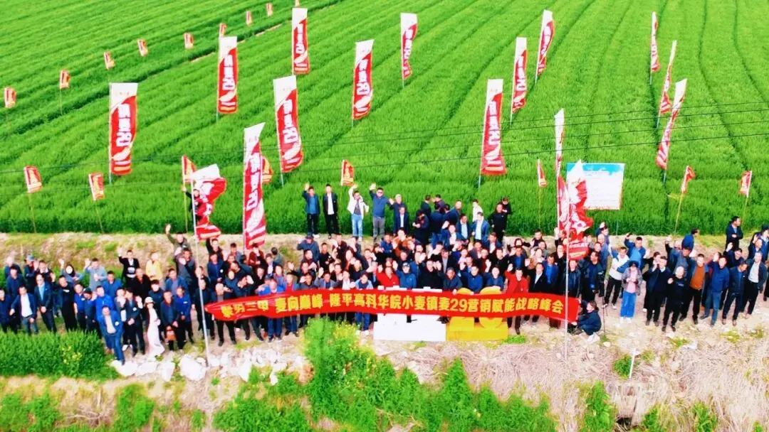 聚势三甲·麦向巅峰 镇麦29营销赋能战略峰会