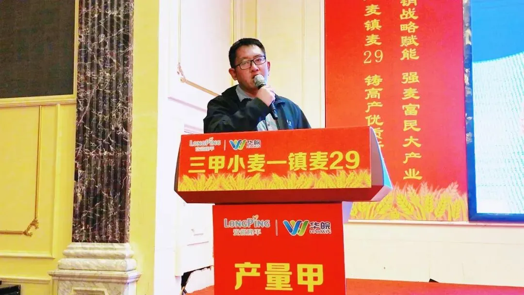 聚势三甲·麦向巅峰 镇麦29营销赋能战略峰会