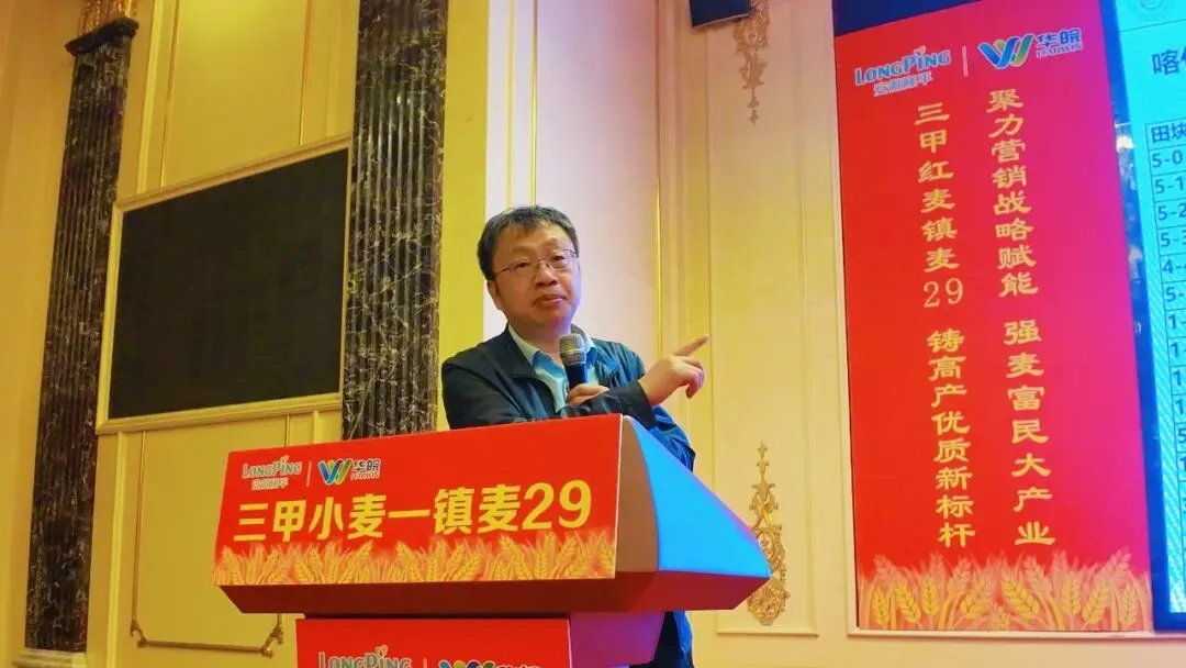 聚势三甲·麦向巅峰 镇麦29营销赋能战略峰会