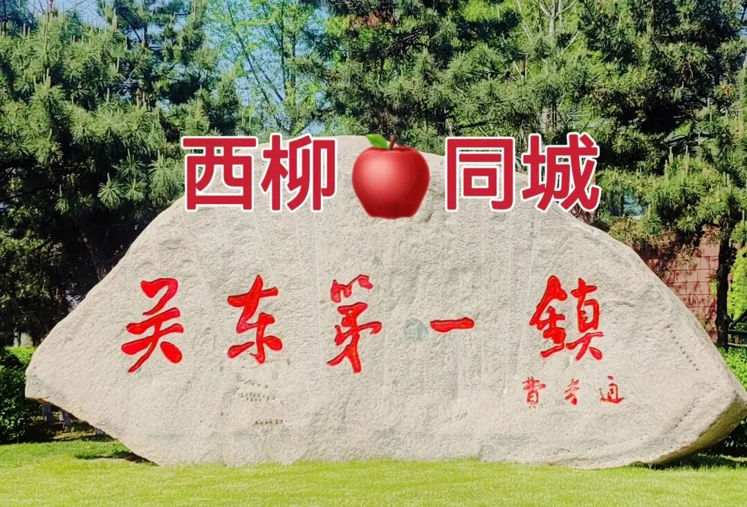 西柳同城1️⃣劳务市场