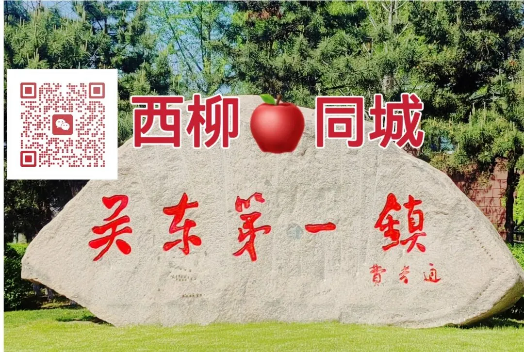 西柳同城1️⃣劳务市场