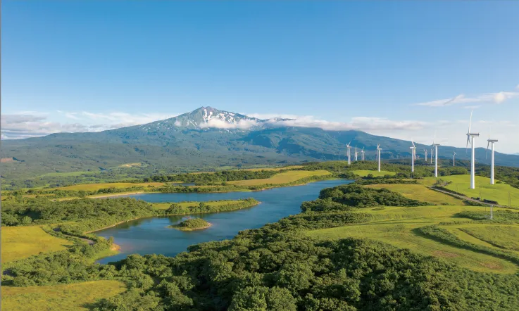 《碳市场与碳金融》 | 增长导向型碳定价机制:净零排放的实践路径