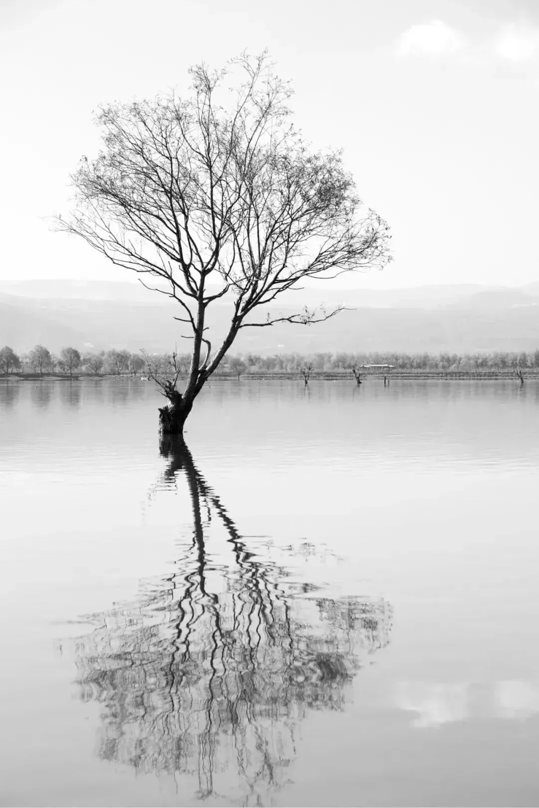 诗诗相映 | 农贸市场–羊肉餐馆