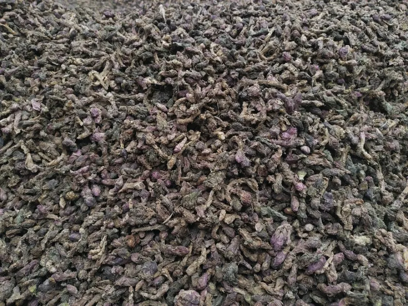 2026年4月16日文峰康美中药材市场快讯