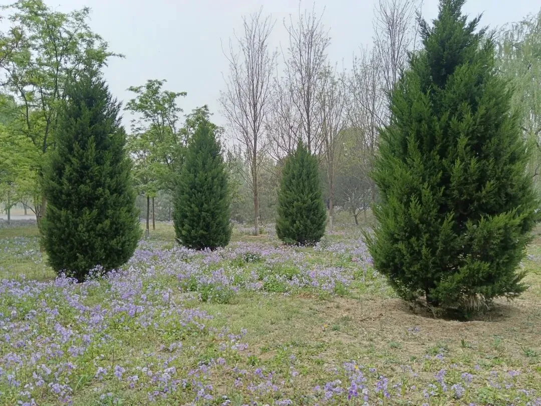 五重认证:2026相亲市场顶流标准