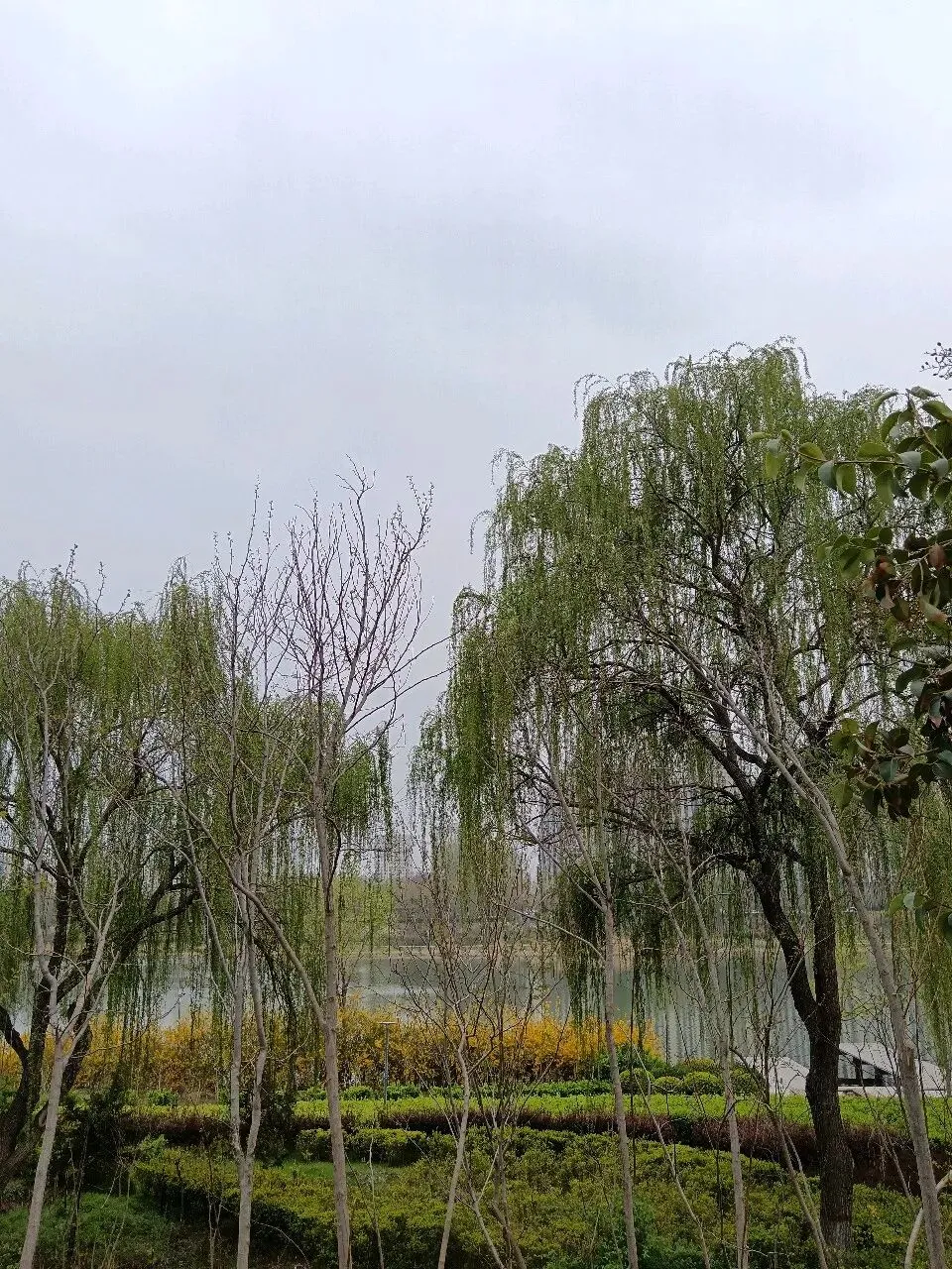 五重认证:2026相亲市场顶流标准