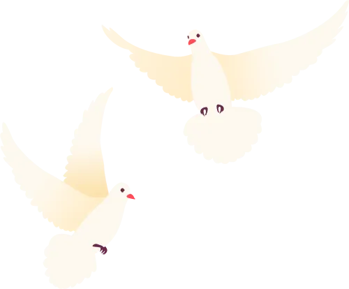 【贵南县零工市场】学历不限||贵南县污水处理厂招聘湿地管理员1名(2026.4.17)