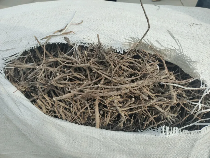 2026年4月16日文峰康美中药材市场快讯