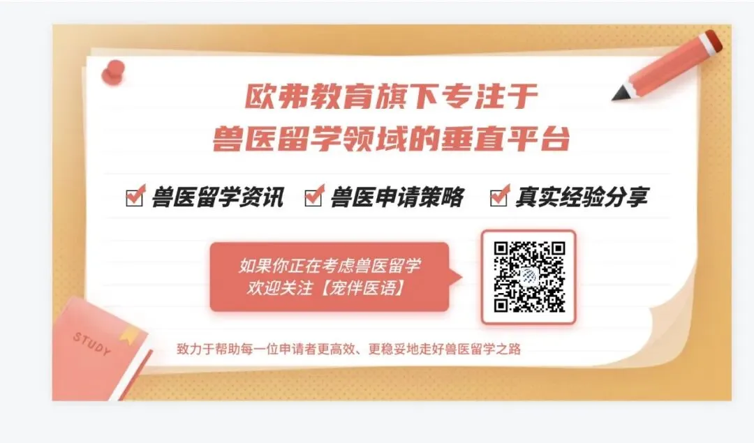 从HESA最新数据到就业市场报告:留学英国展现新趋势